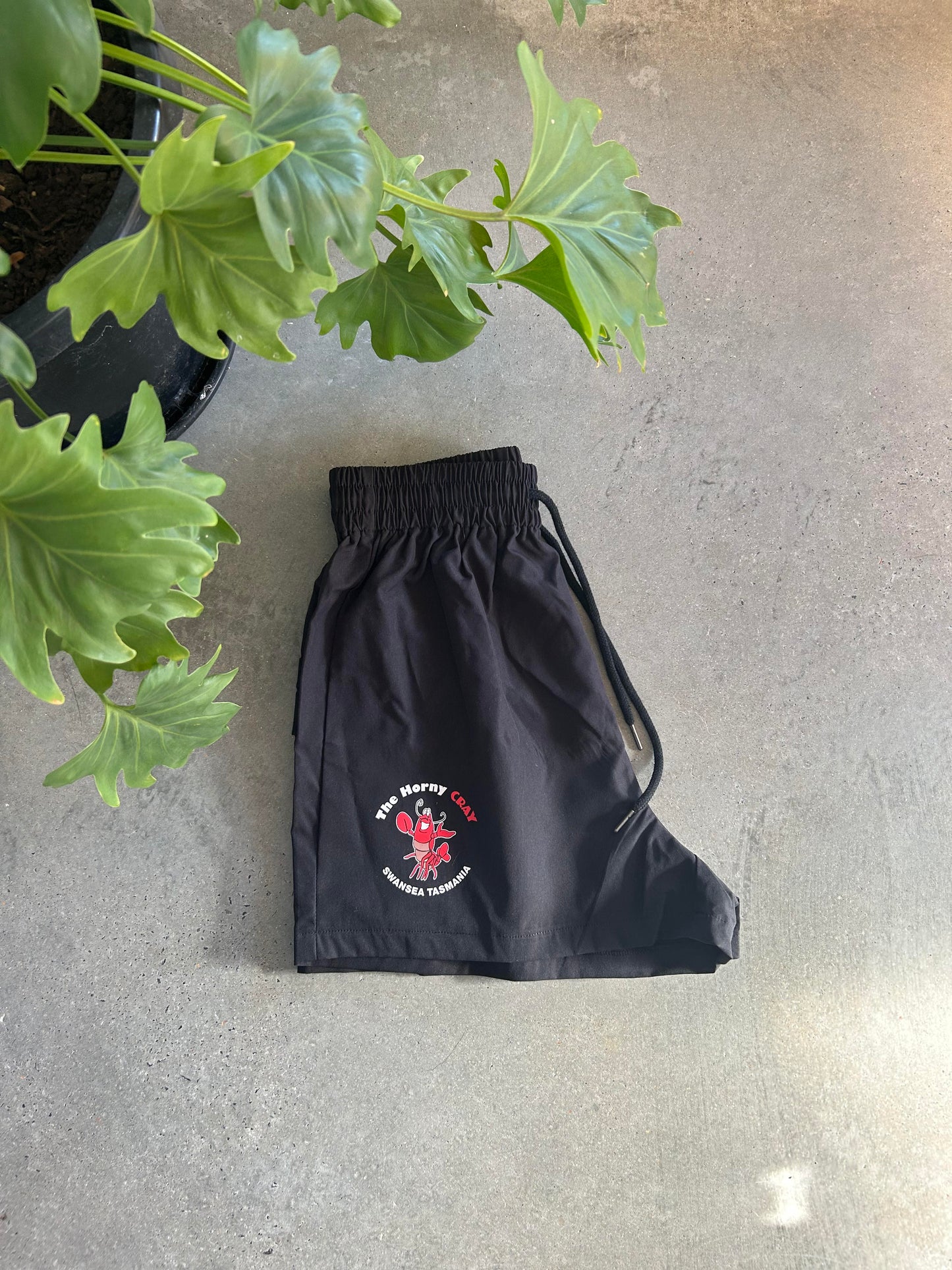 Shorts (with pocket)